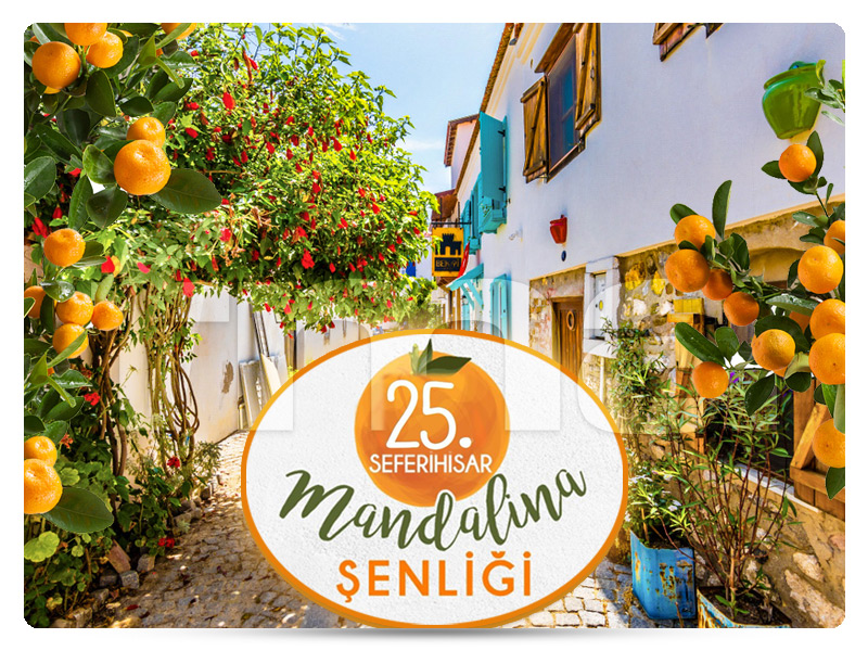''Seferihisar Mandalina Festivali Özel'' SEFERİHİSAR ve SIĞACIK